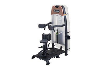 SportsArt N935 Status Selectorized Rotary Torso Machine
