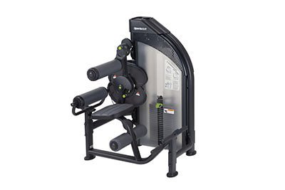 SportsArt DF-306 Performance Dual-Function Back Extension/Abdominal Crunch Machine