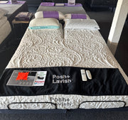 Posh + Lavish Reveal - Floor Model Bundle