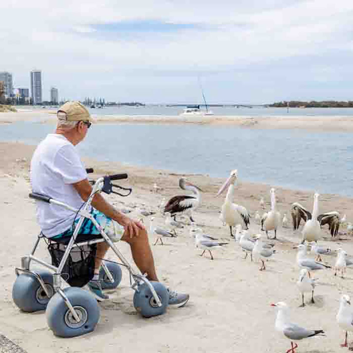 Wheeleez All-Terrain Beach Rollator Walker