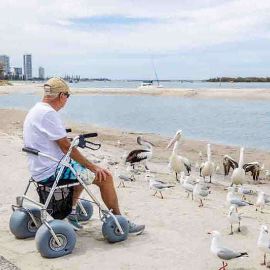 Wheeleez All-Terrain Beach Rollator Walker