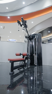 Iso Lateral Lat Pulldown/ Low Row image 2
