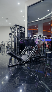 The Quadzilla ISO Leg Press image 2