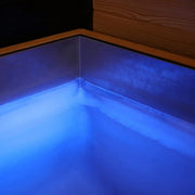 Revive Luxury Cold Plunge image 11