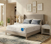 Asha3 Luxe Pro Plush image 3