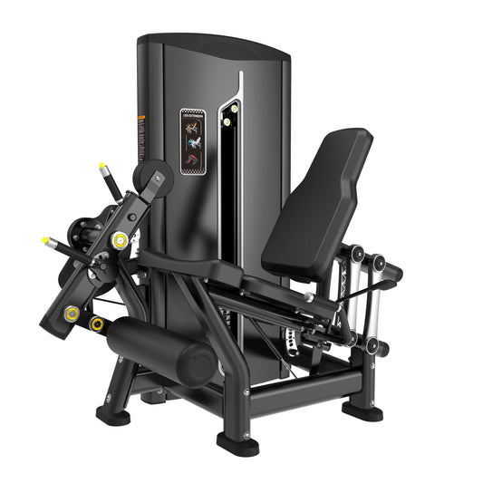 Leg Extension