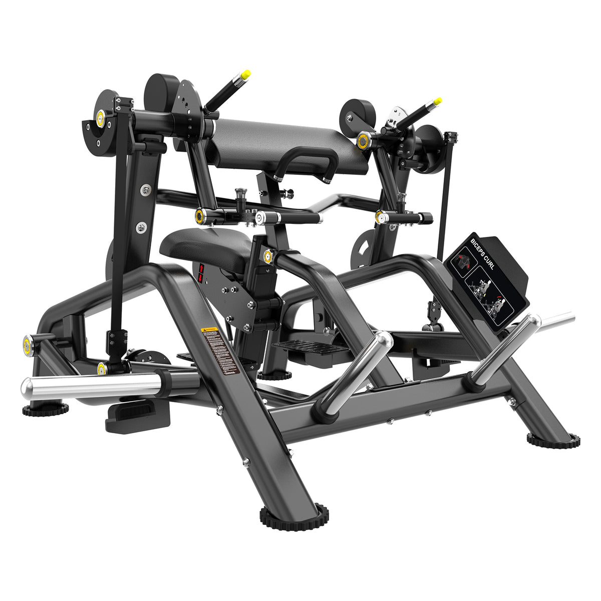 Flagship Biceps Curl