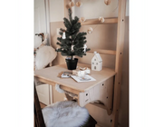 BenchK 112 + A204 - Wall Bars Swedish Ladder Solid Beech Wood Gymnastic Ladder with Adjustable Desk & Rings image 14
