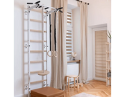 BenchK Series 7 721 Wall Bars Swedish Ladder with A076 Accessories image 19