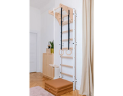 BenchK Series 7 711B Wall Bars Swedish Ladder With A076 Accessories - Multifunctional Home Gym Equipment image 13