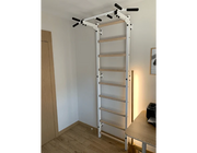 BenchK Series 7 721 Multifunctional Stall Bar Wall Bars Swedish Ladder for Home & Rehabilitation Workouts image 18