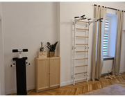 BenchK Series 7 721 Multifunctional Stall Bar Wall Bars Swedish Ladder for Home & Rehabilitation Workouts image 21