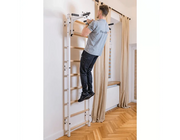 BenchK Series 7 731 Wall Bars Swedish Ladder - Versatile Wall-Mounted Gymnastics Training Equipment image 24