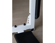 BenchK Series 7 722 Multifunctional Stall Wall Bars Swedish Ladder With Pull-Up Bar & Dip Station for Home Gym image 22