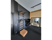 BenchK Series 7 732 Fitness Stall Wall Bars Swedish Ladder image 2