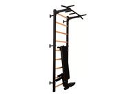 BenchK Series 7 723 Multifunctional Gymnastic Wall Bars Swedish Ladder for Home Fitness & Exercise