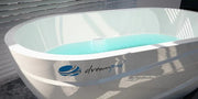 Dreampod Mineral Soaker Float Tank image 2