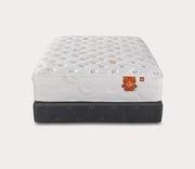 Karma3 Elite Hybrid Firm image 5