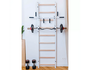BenchK Series 7 732 Fitness Stall Wall Bars Swedish Ladder image 31