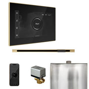 Mr.Steam XButler Linear Control Pkg XButler Steam Shower Control Package w/ iSteamX Control and Linear SteamHead image 11