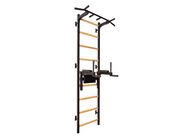 BenchK Series 7 722 Multifunctional Stall Wall Bars Swedish Ladder With Pull-Up Bar & Dip Station for Home Gym