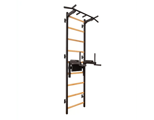 BenchK Series 7 722 Multifunctional Stall Wall Bars Swedish Ladder With Pull-Up Bar & Dip Station for Home Gym