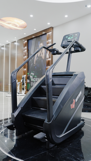 Stair Climber 3000 - The Peak Punisher image 3