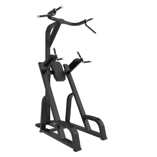 AR80 Chin Up/Dip & Knee Up