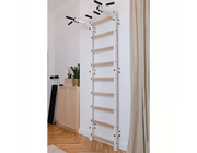 BenchK Series 7 721 Multifunctional Stall Bar Wall Bars Swedish Ladder for Home & Rehabilitation Workouts image 14
