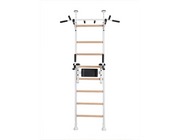 BenchK 522 Wall Bars Swedish Ladder & Dip Bar - Solid Beech Wood Gymnastics Equipment with Pull-Up Station