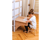 BenchK Series 7 712 Wall Bars Swedish Ladder with Adjustable Pull-Up Bar & Versatile Bench for Home Fitness image 15