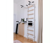 BenchK Series 7 722 Multifunctional Stall Wall Bars Swedish Ladder With Pull-Up Bar & Dip Station for Home Gym image 19