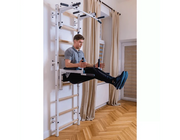 BenchK Series 7 732 Fitness Stall Wall Bars Swedish Ladder image 27