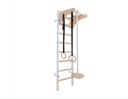 BenchK 211B + A076 Wall Bars Swedish Ladder for Kids with Pull-Up Bar, Gymnastic Rings, and Swing image 2