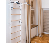 BenchK Series 7 731 Wall Bars Swedish Ladder - Versatile Wall-Mounted Gymnastics Training Equipment image 21