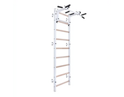 BenchK Series 7 731 Wall Bars Swedish Ladder - Versatile Wall-Mounted Gymnastics Training Equipment image 17