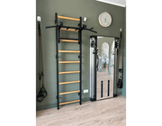 BenchK Series 7 731 Wall Bars Swedish Ladder - Versatile Wall-Mounted Gymnastics Training Equipment image 3