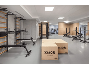 BenchK Series 7 723 Multifunctional Gymnastic Wall Bars Swedish Ladder for Home Fitness & Exercise image 4