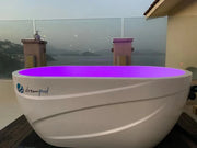 Dreampod Cold Plunge Ice Bath with Chiller image 6