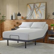 baselogic™ Gold Adjustable Base