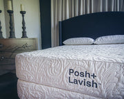 Posh + Lavish Reveal - Floor Model Bundle image 2