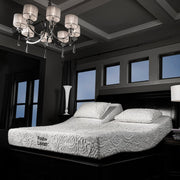 Posh + Lavish Restore image 2