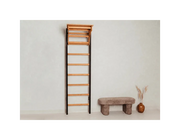 BenchK 212 Gymnastic Wall Bars Swedish Ladder - Durable Steel & Beech Wood, High Load Capacity 150 kg, Wall-Mounted Home…