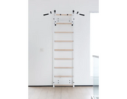 BenchK Series 7 731 Wall Bars Swedish Ladder - Versatile Wall-Mounted Gymnastics Training Equipment image 20