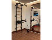 BenchK Series 7 732 Fitness Stall Wall Bars Swedish Ladder image 5