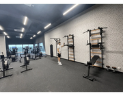 BenchK Series 7 732 Fitness Stall Wall Bars Swedish Ladder image 19
