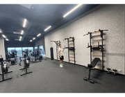 BenchK Series 7 732 Fitness Stall Wall Bars Swedish Ladder image 6