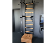 BenchK Series 7 732 Fitness Stall Wall Bars Swedish Ladder image 9
