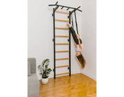 BenchK Series 7 721 Wall Bars Swedish Ladder with A076 Accessories image 5