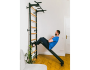 BenchK Series 7 723 Multifunctional Gymnastic Wall Bars Swedish Ladder for Home Fitness & Exercise image 12